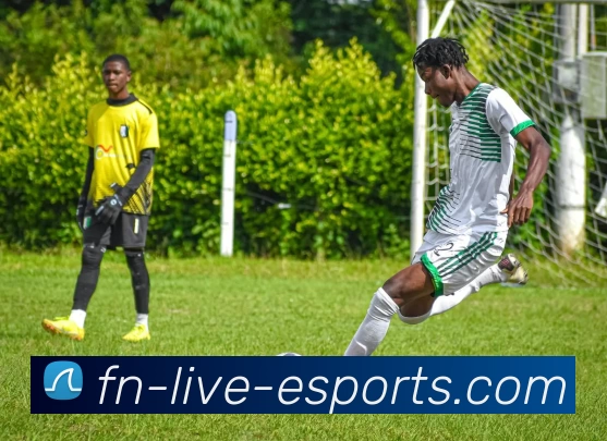 FN电竞直播服务体系